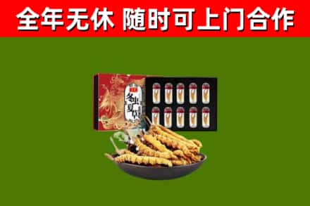 朝天区回收冬虫夏草价格